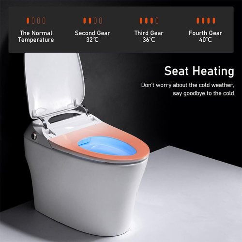 Homey. 6.4 GPF Round Chair Height Bidet Toilet (Seat Included) Wayfair